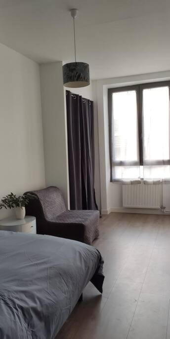Апартаменти Logement 5 Personnes Proche Cv Et Parking Prive Сент-Етьєн Екстер'єр фото