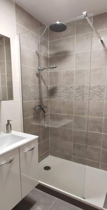 Апартаменти Logement 5 Personnes Proche Cv Et Parking Prive Сент-Етьєн Екстер'єр фото